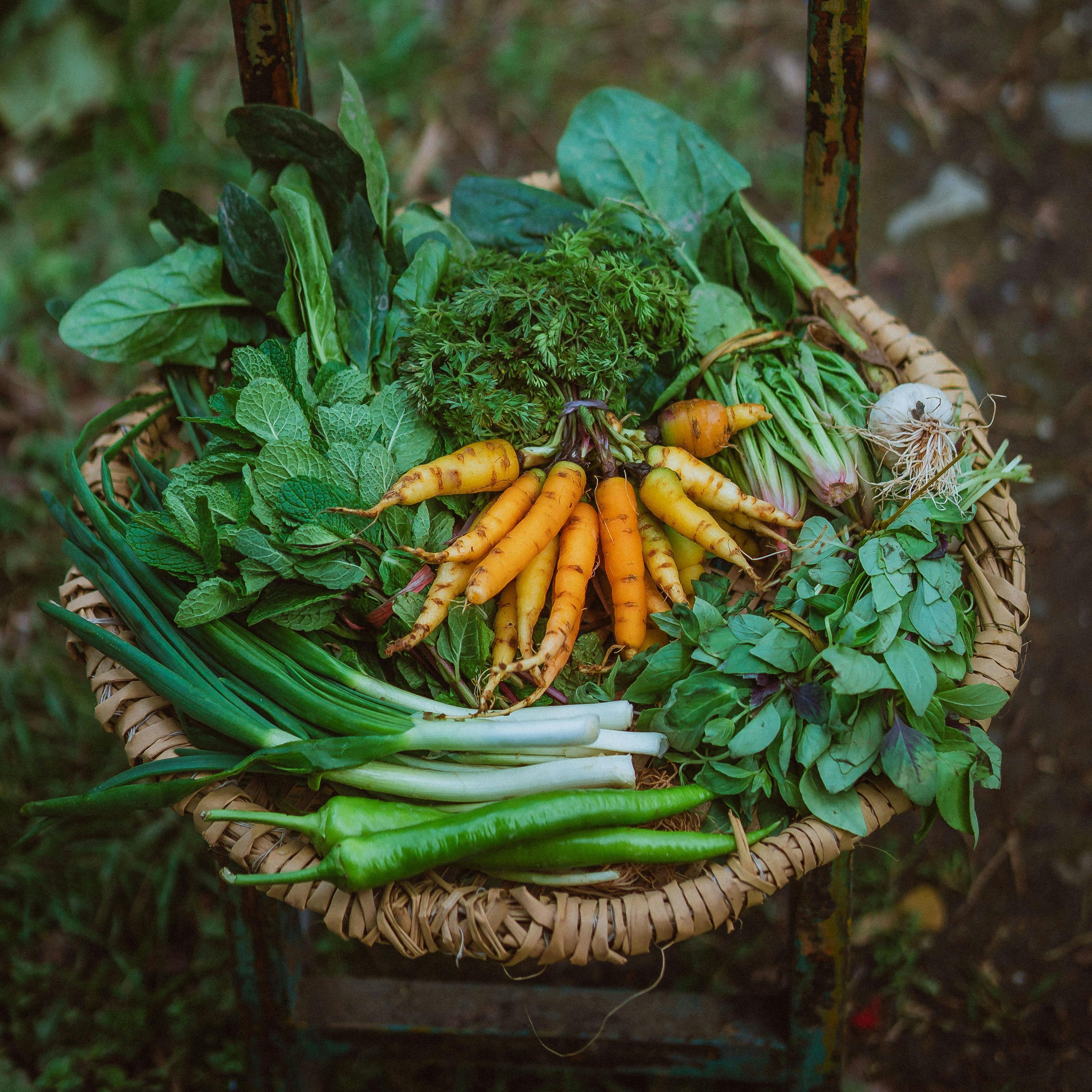 🕒 Why 24 Hours Matter: The Shelf Life of Freshness