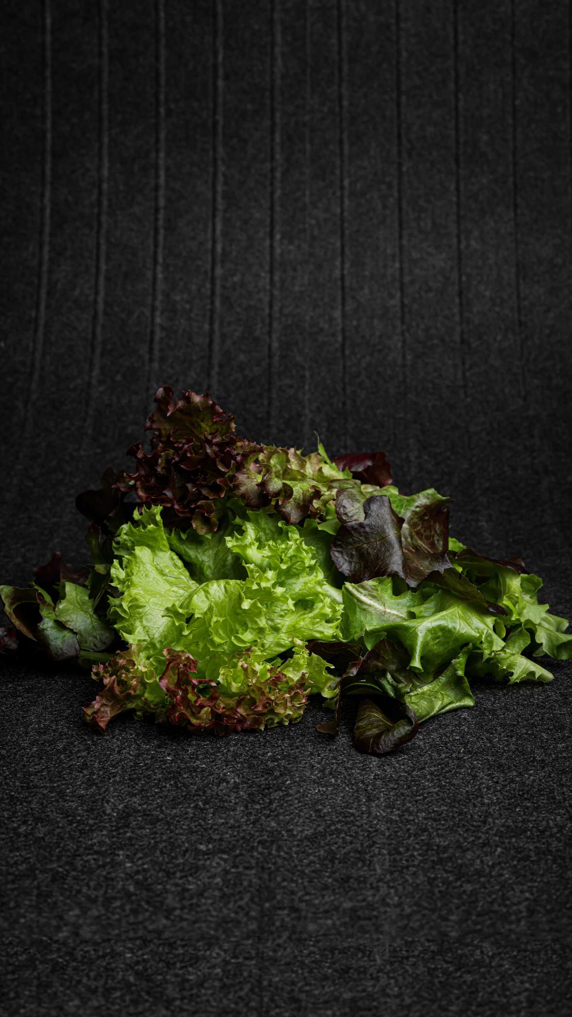 Salad Mix Big