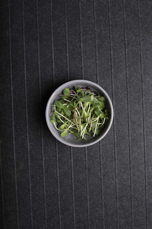 Sunflower Microgreens
