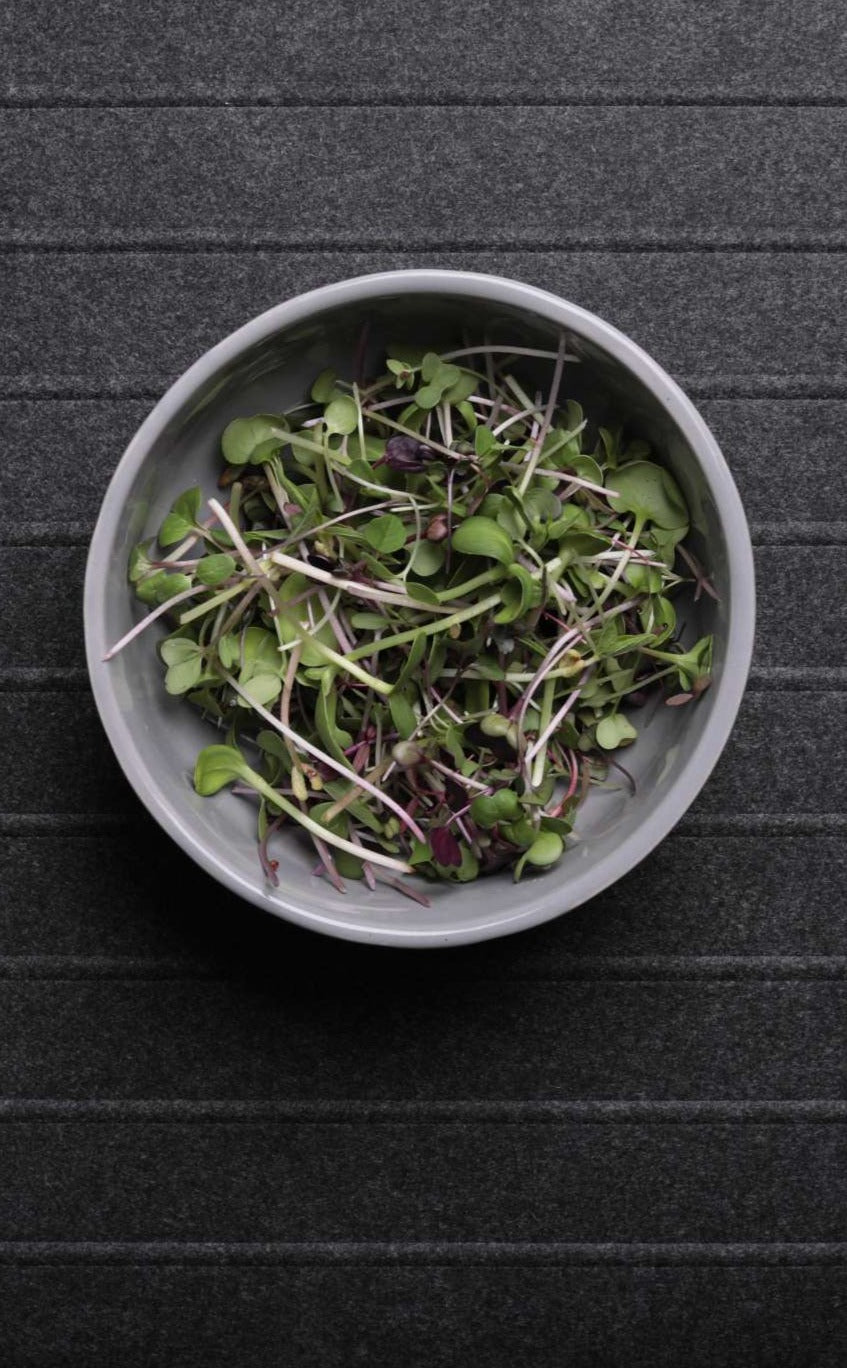 Mixed Microgreens
