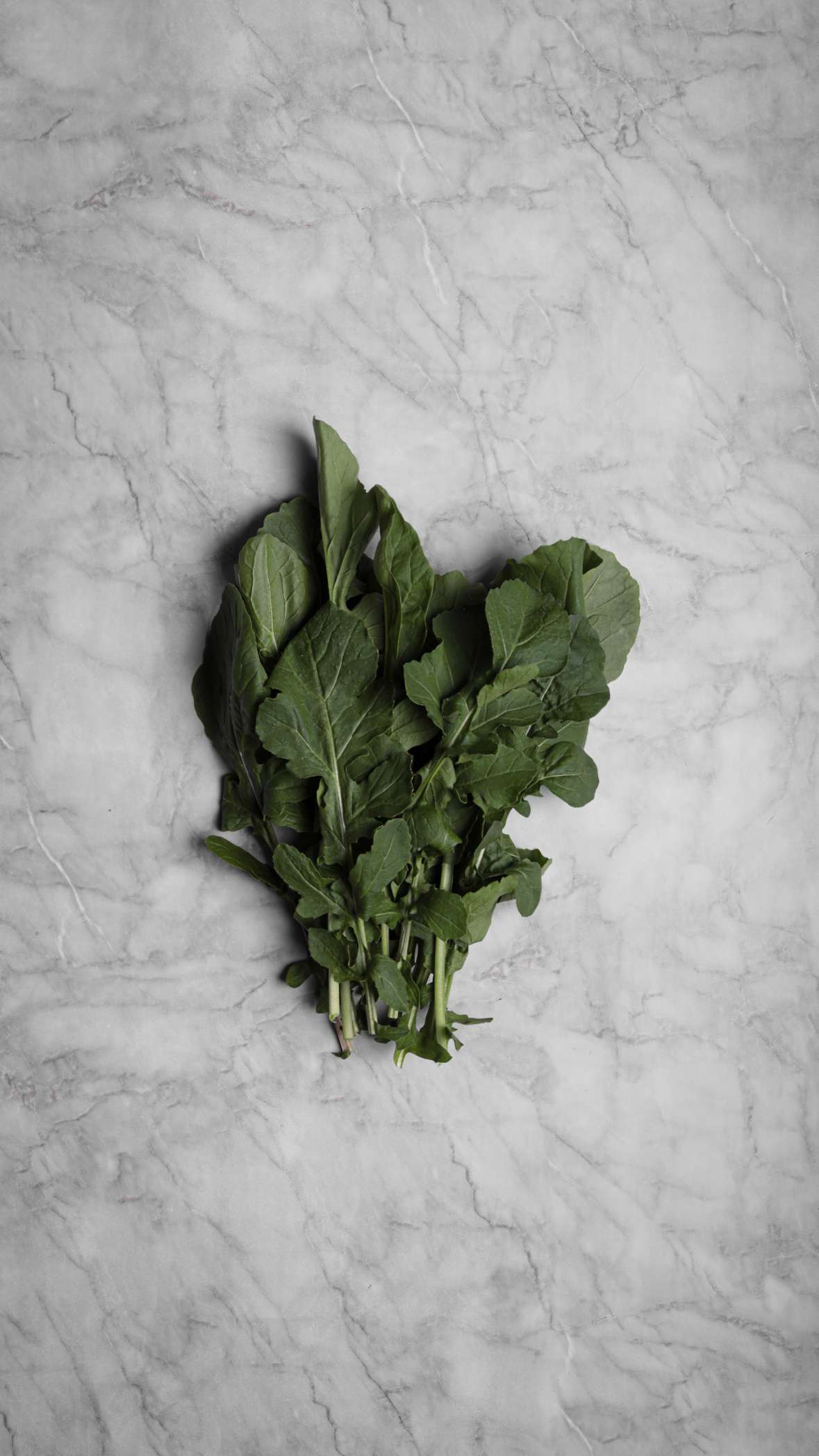 Arugula