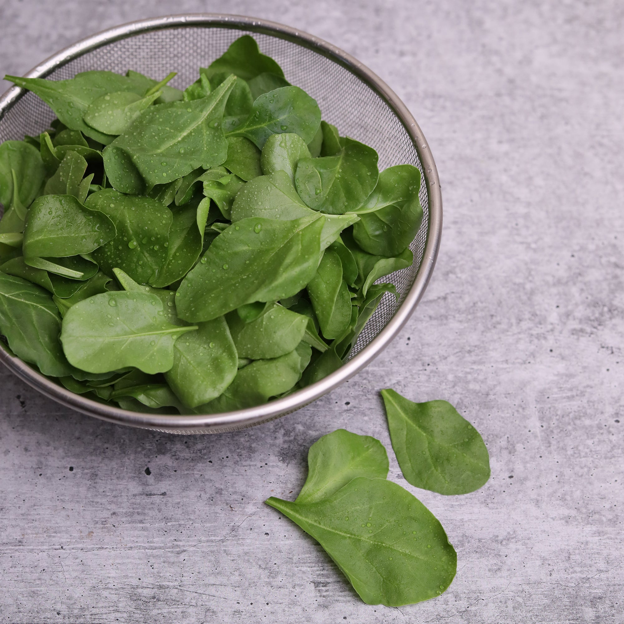 Baby Spinach