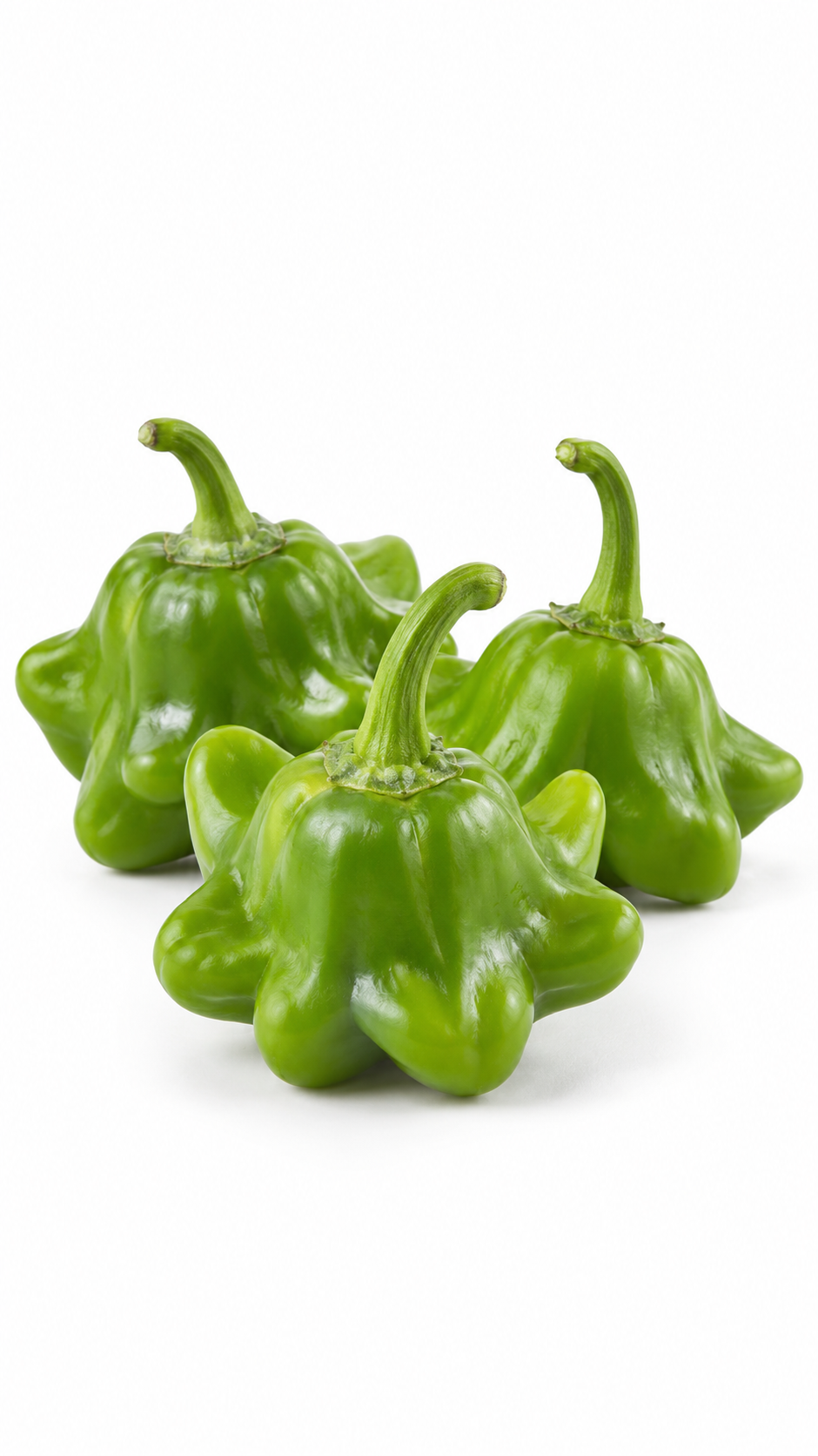 Bishop’s Crown pepper - Green