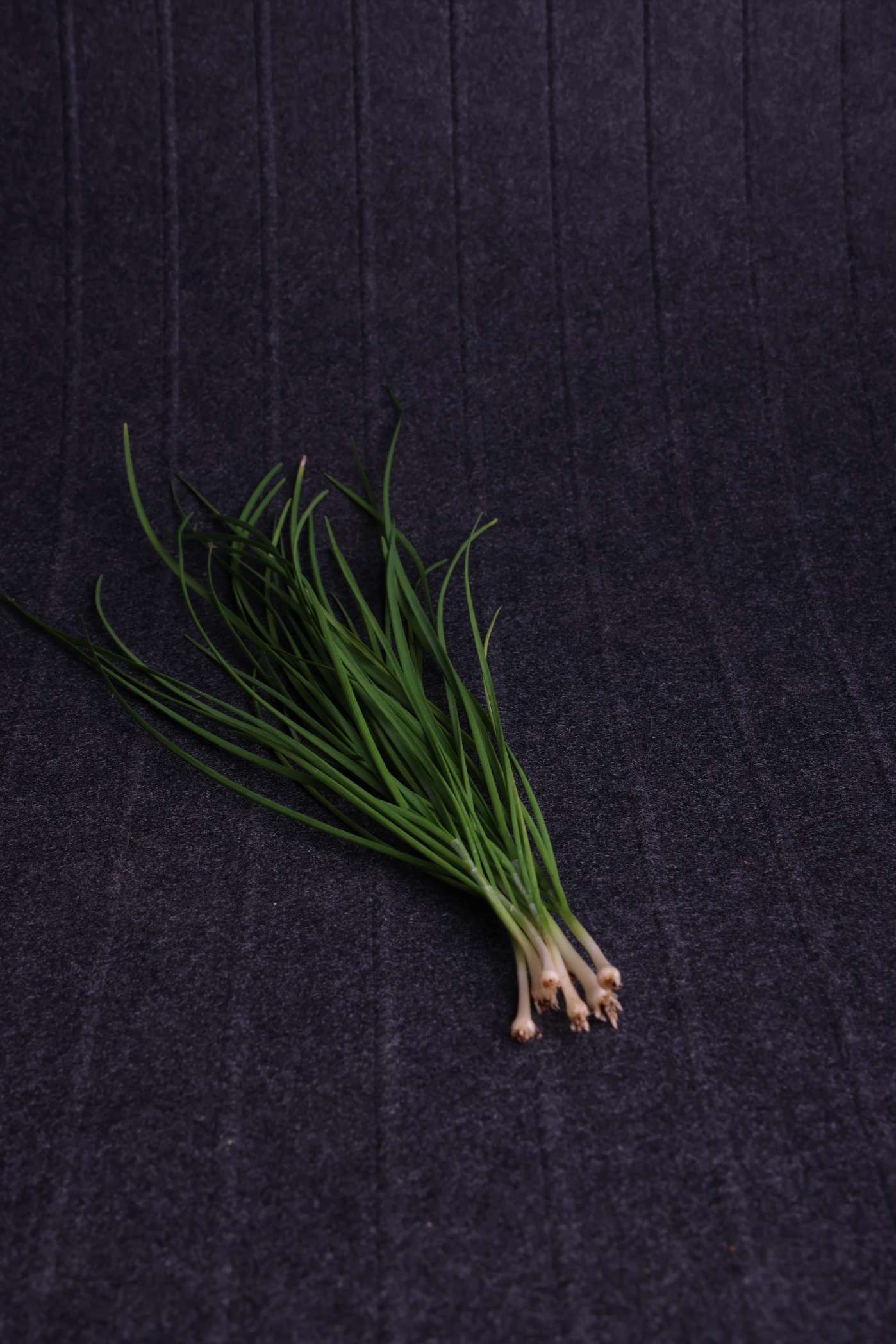 Chives