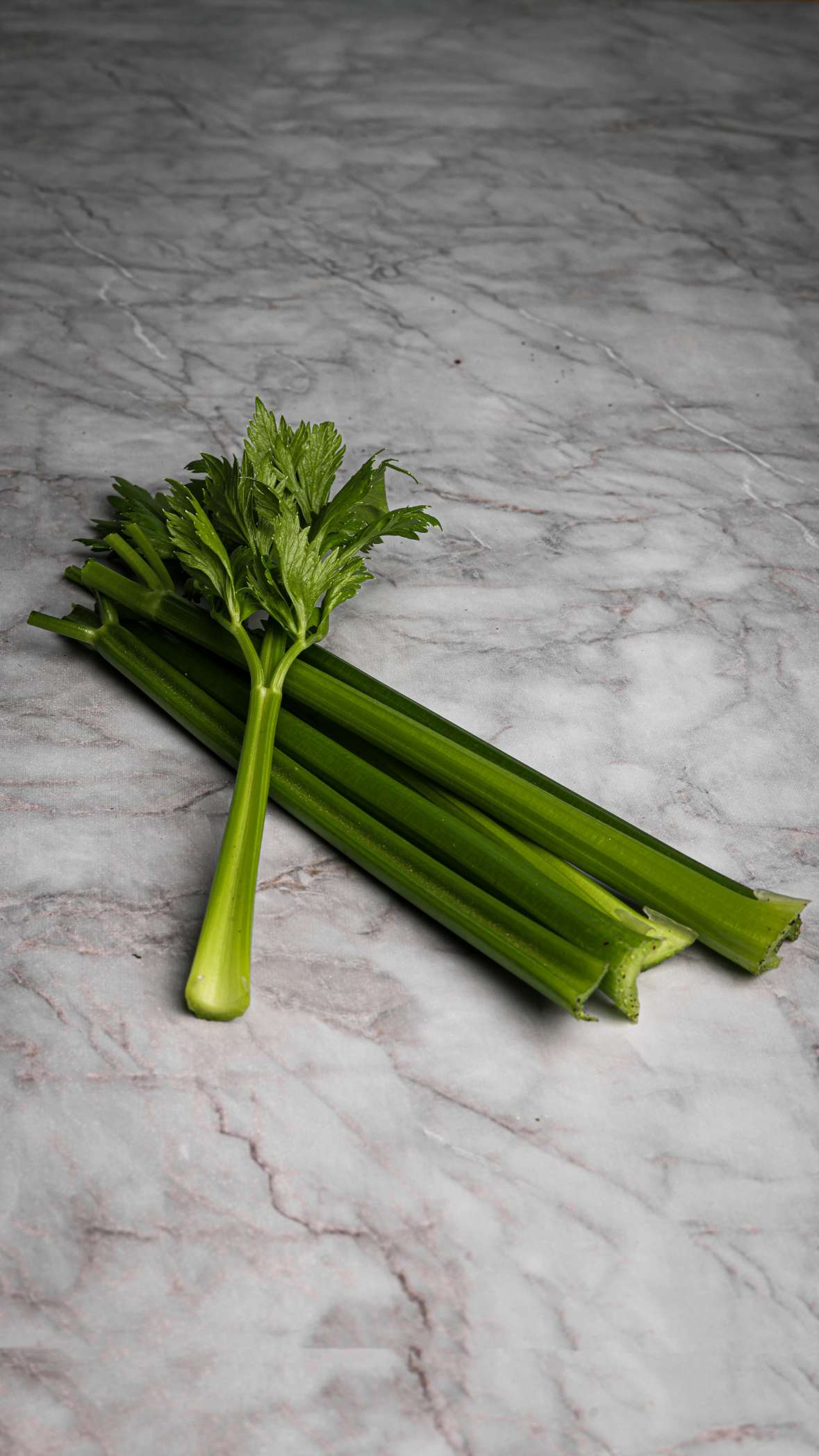 Celery