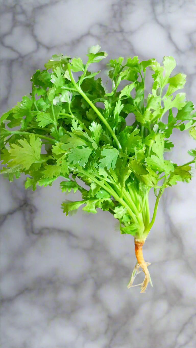 Organic Coriander (Dhaniya)