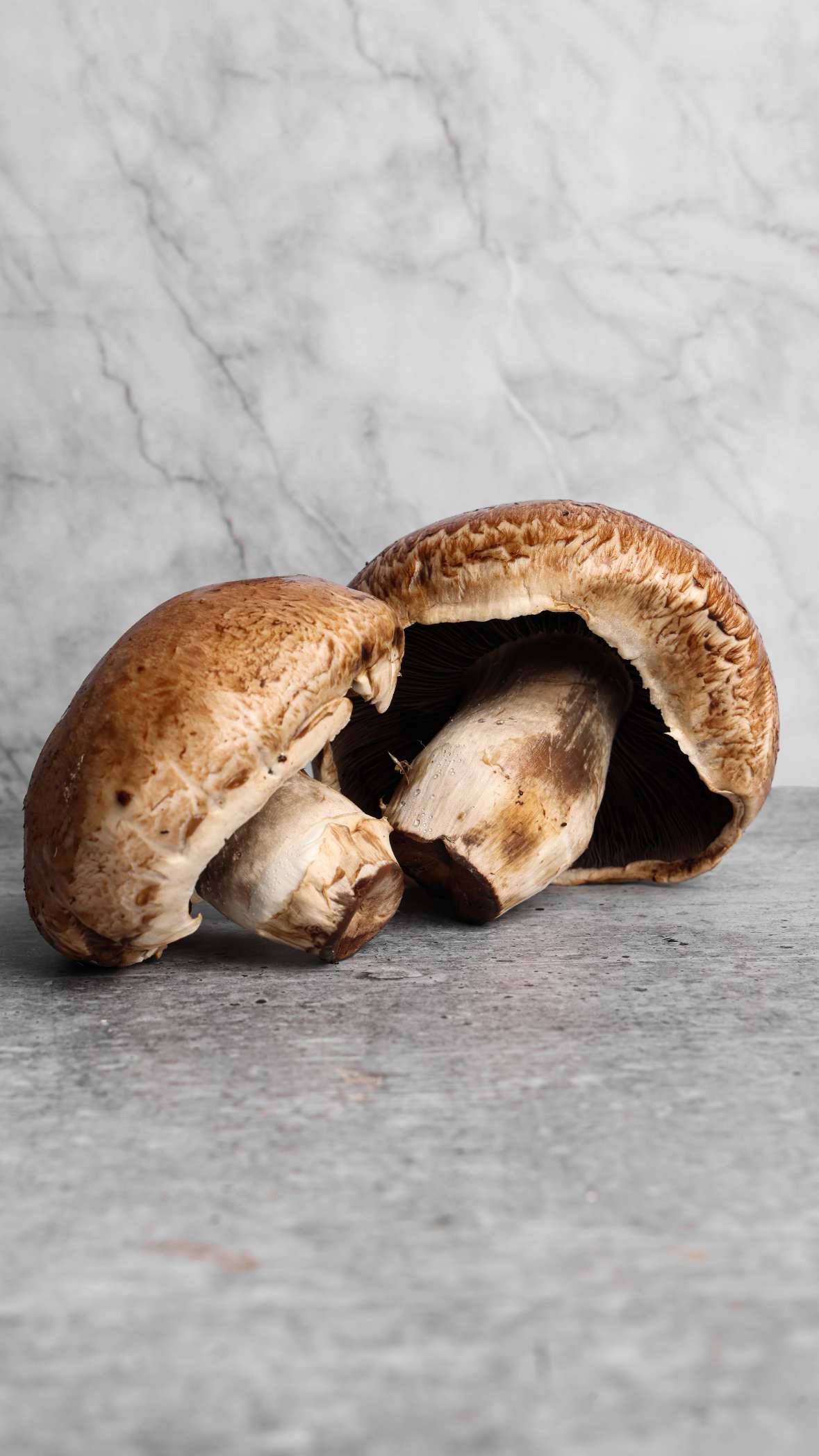 King Portobello Mushrooms