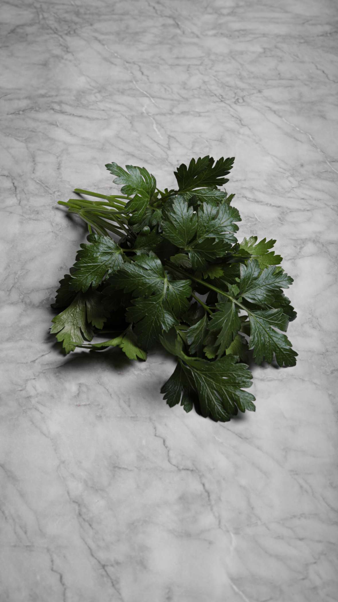 Parsley - Flat