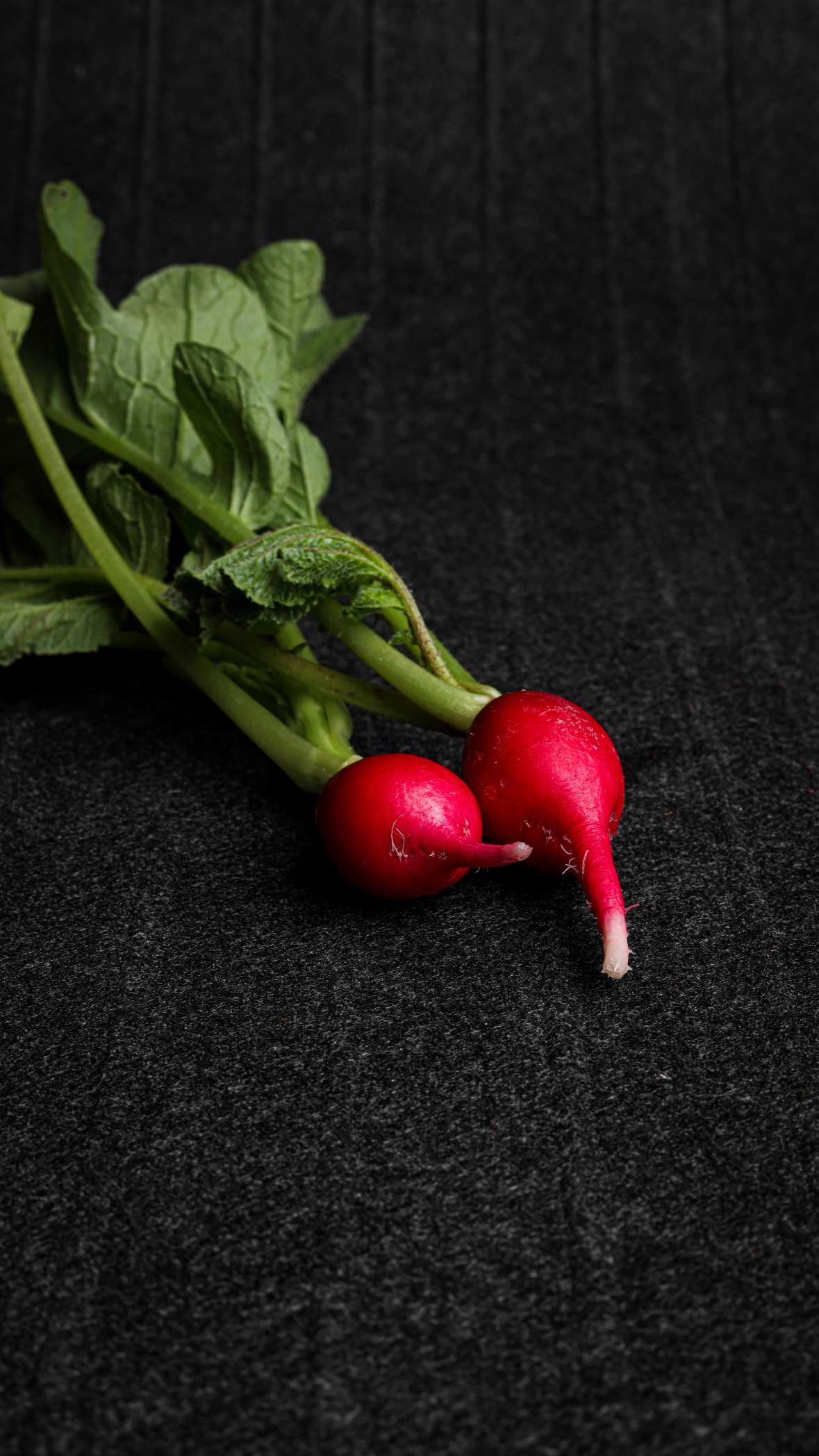 Organic Pink Radish