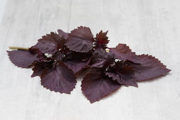 Red Shiso (Red Perilla Leaves)