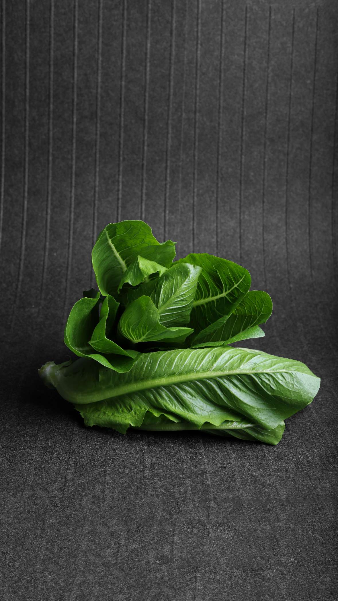 Romaine