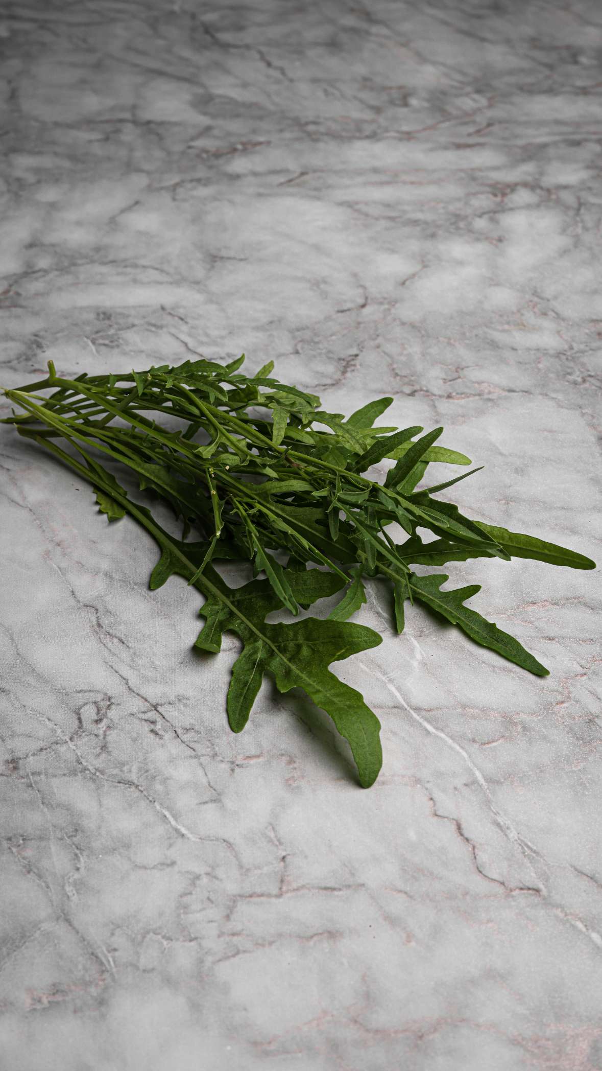 Roquette (Wild Arugula)