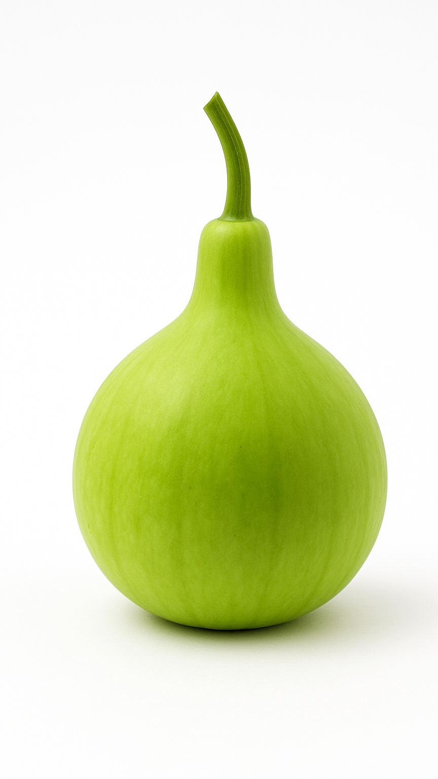 Organic Round Bottle Gourd