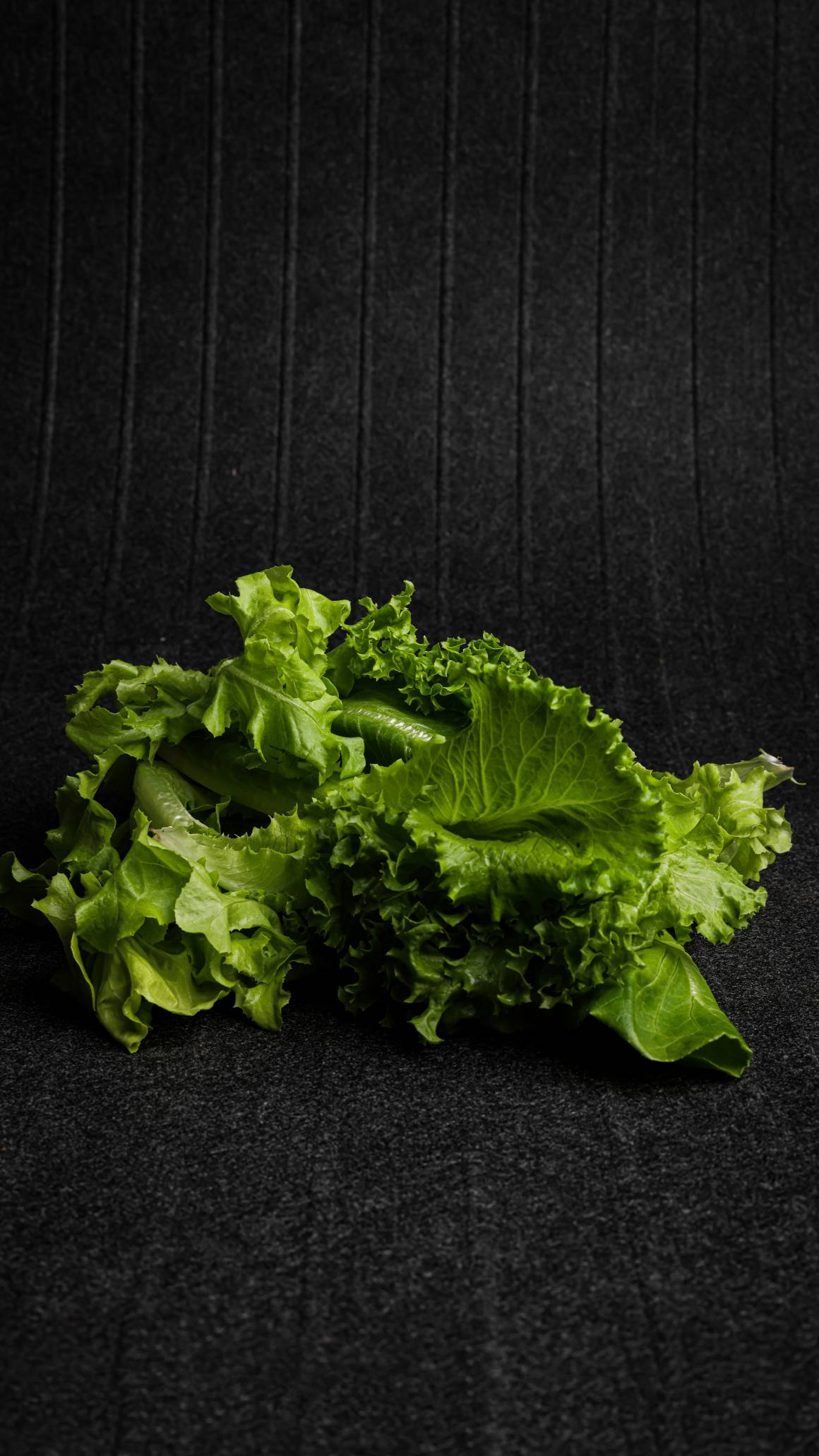 Salad Mix (Only Green,Big)