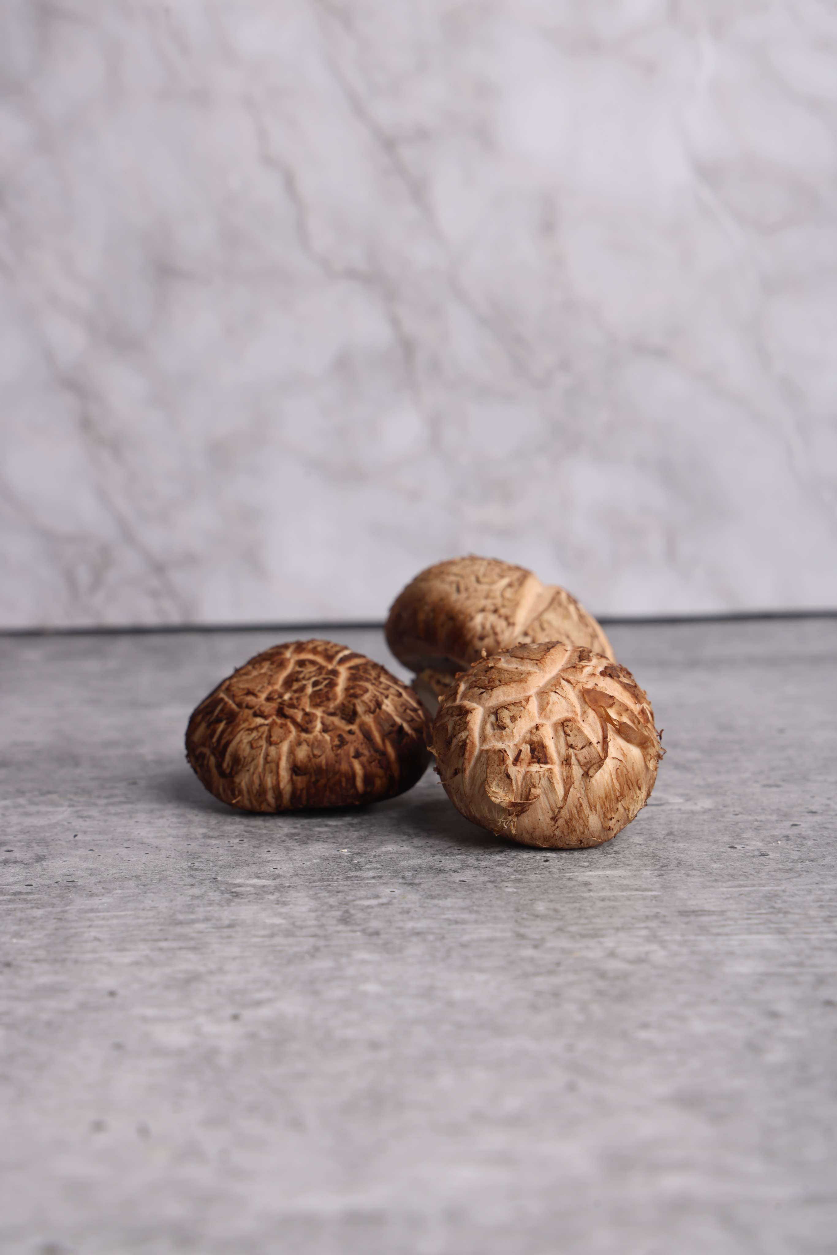 Shiitake Mushroom