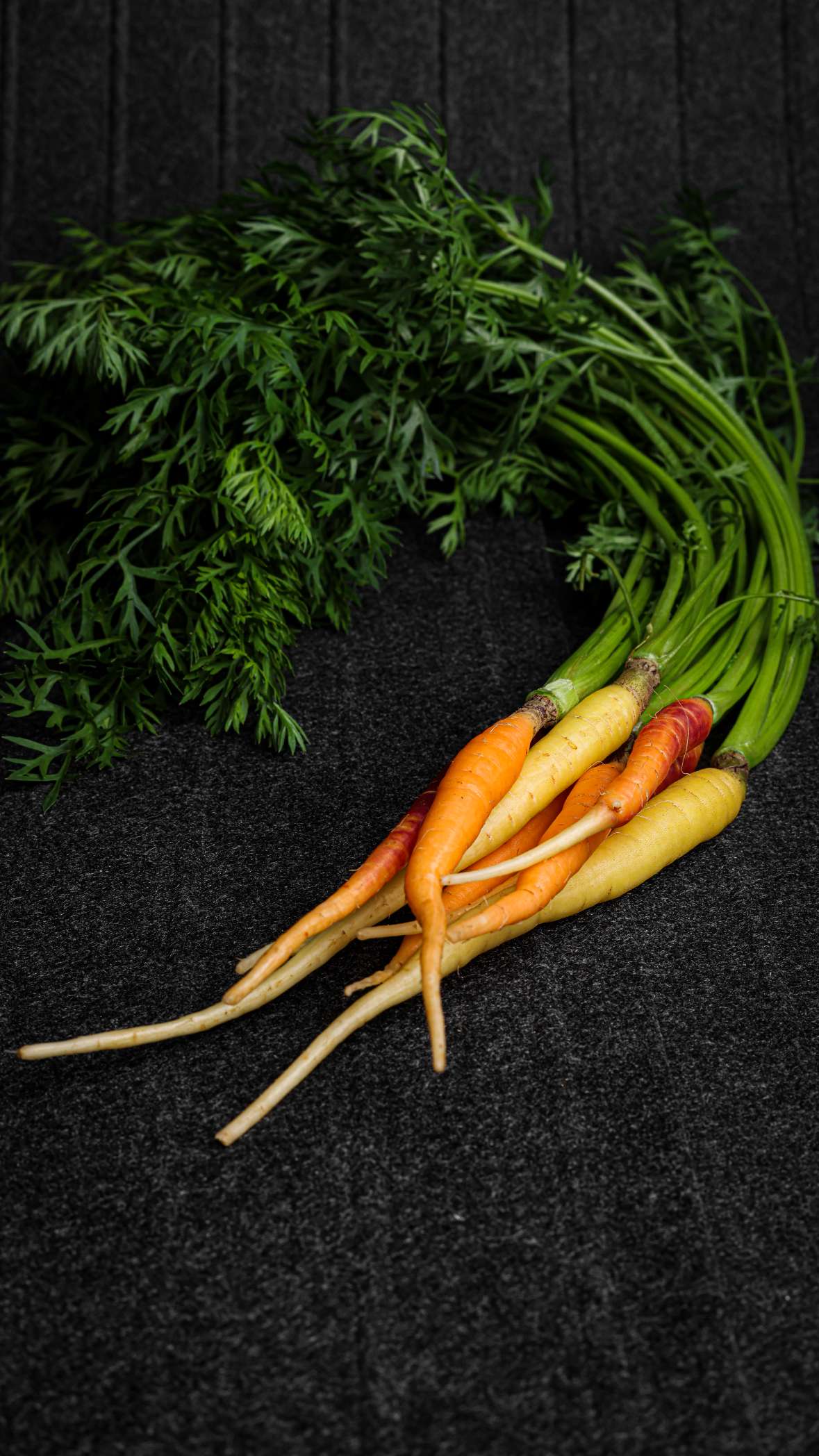 Coloured Baby Carrots