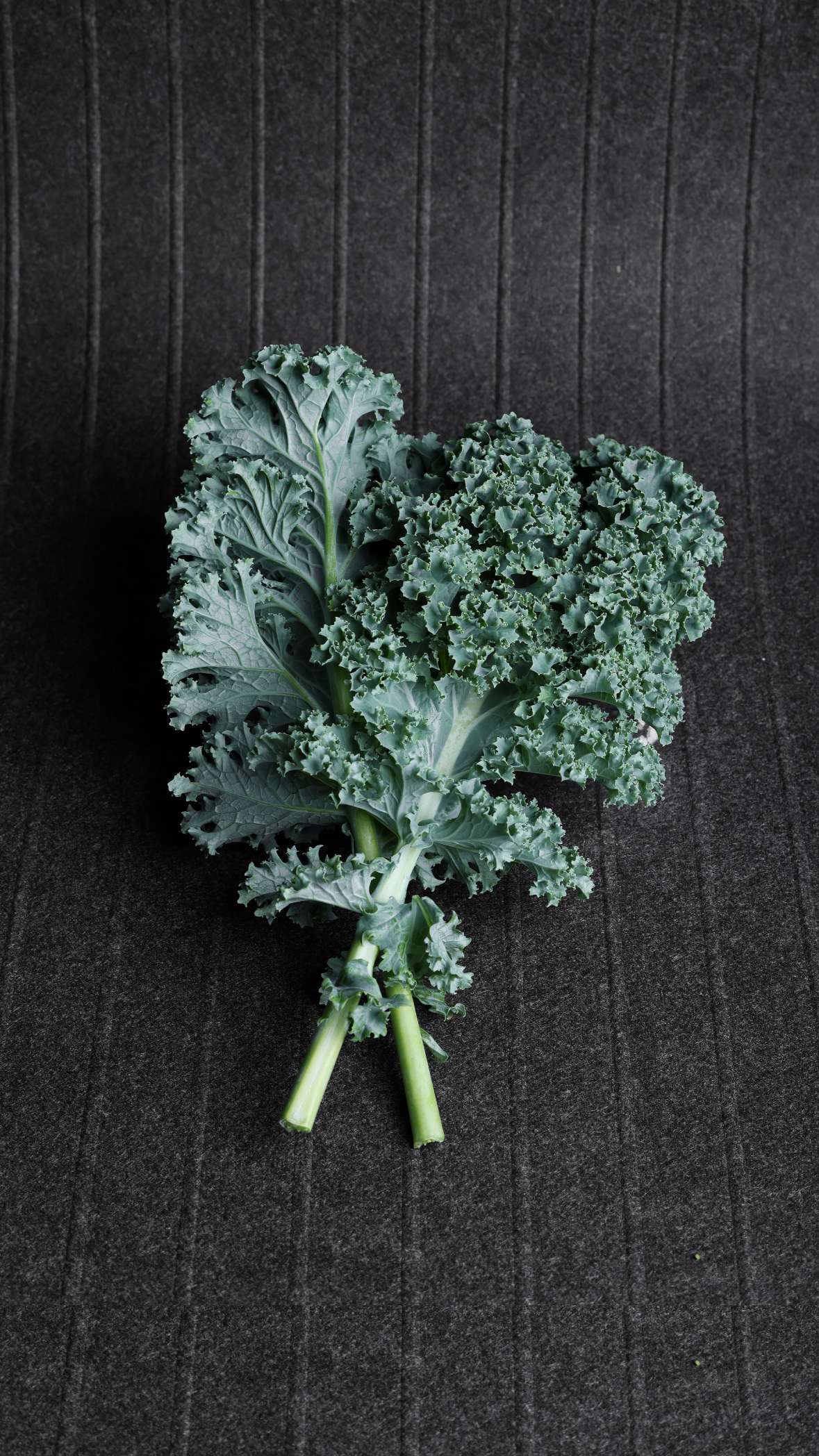 Green Curly Kale