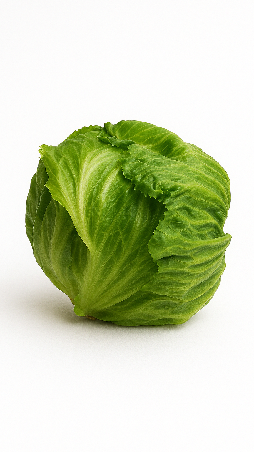 Iceberg (Only leaves)