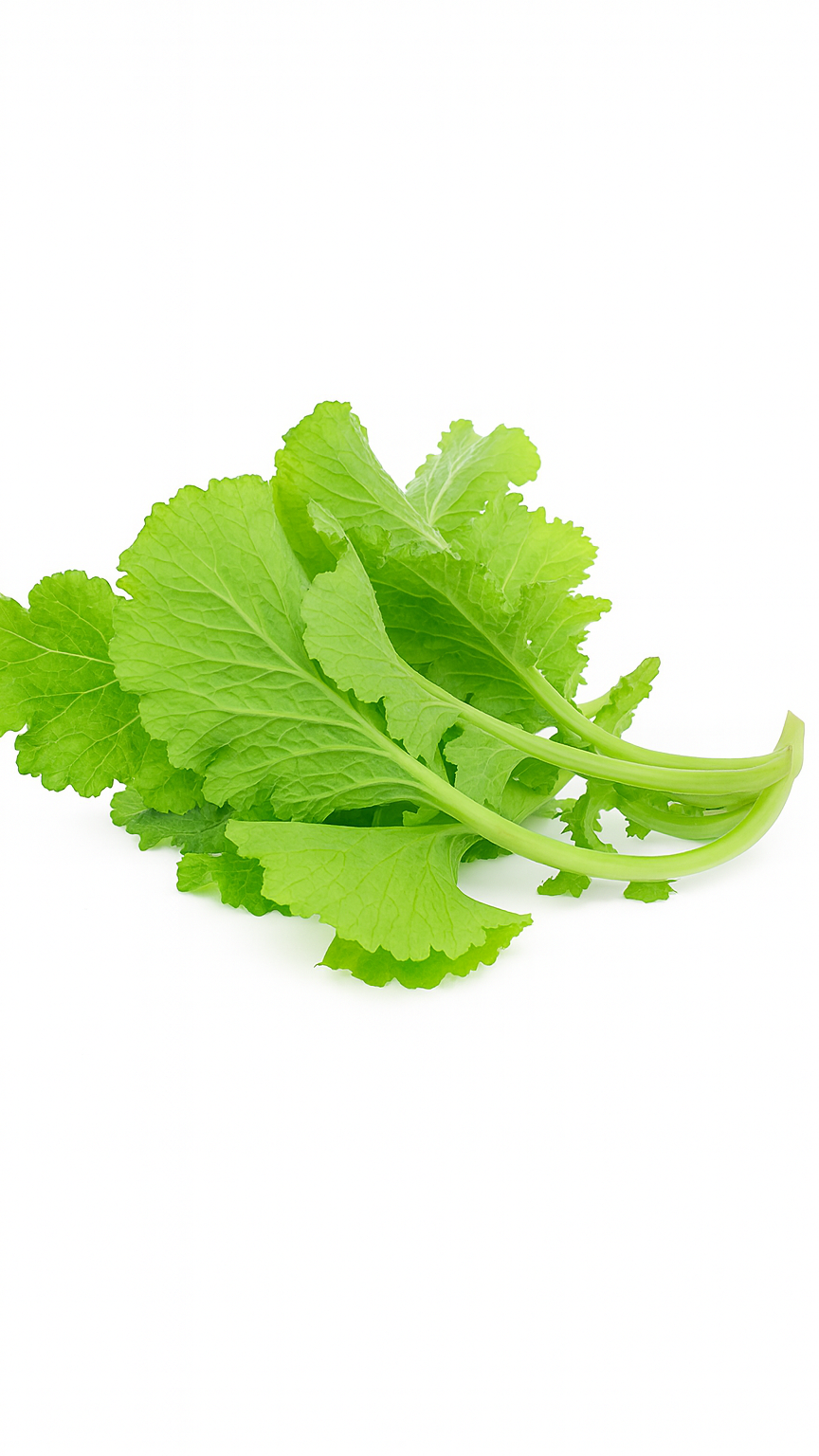 Mustard Leaves