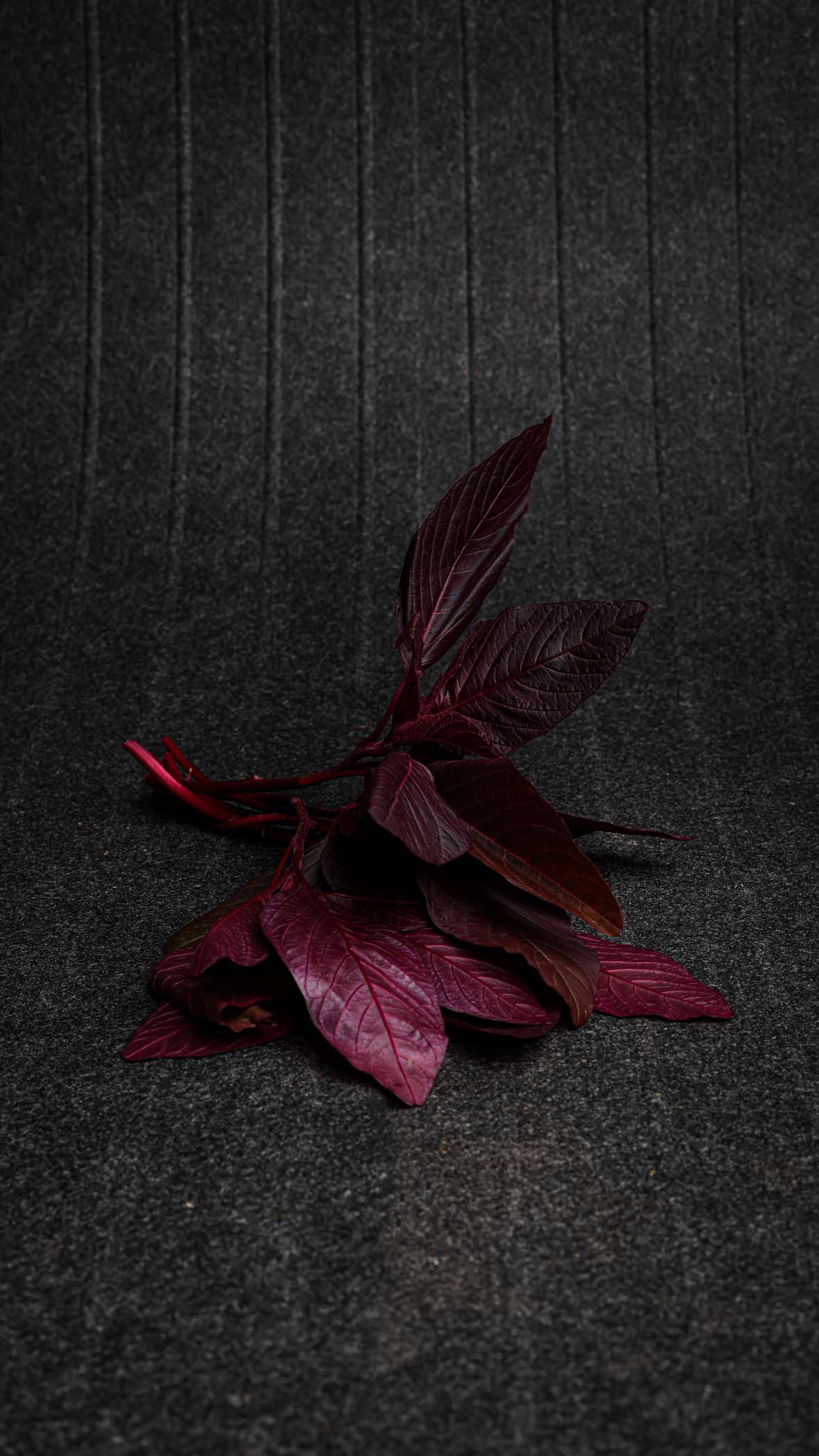 Red Amaranthus