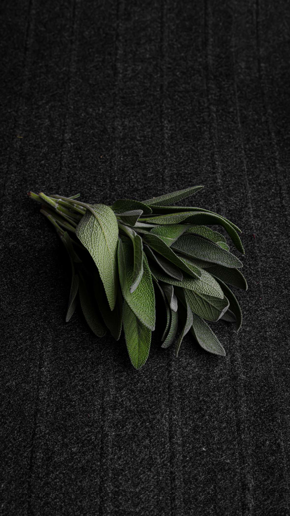 Sage