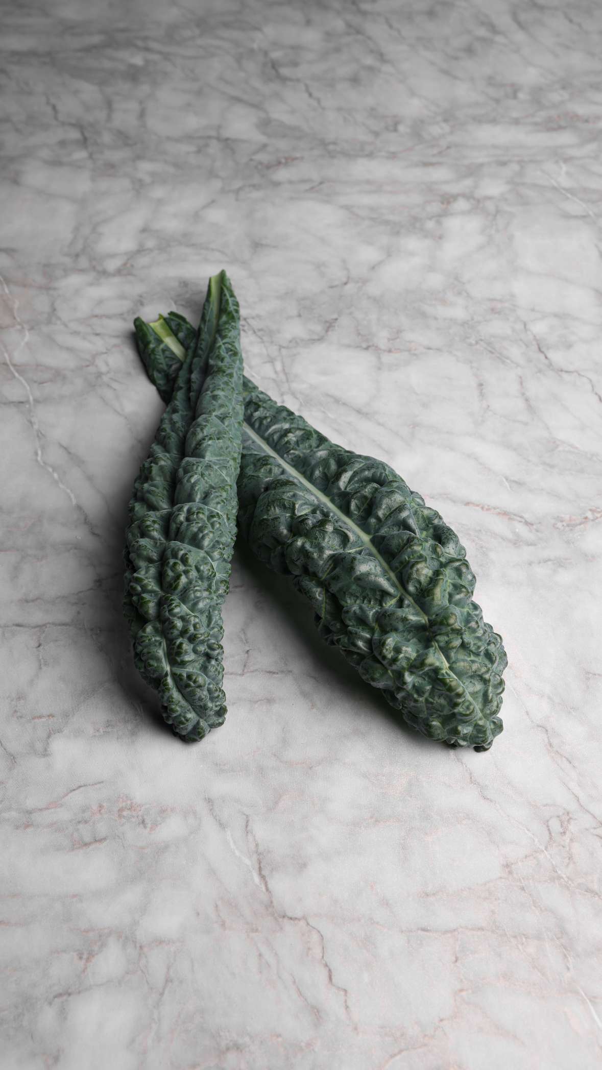 Tuscan Kale