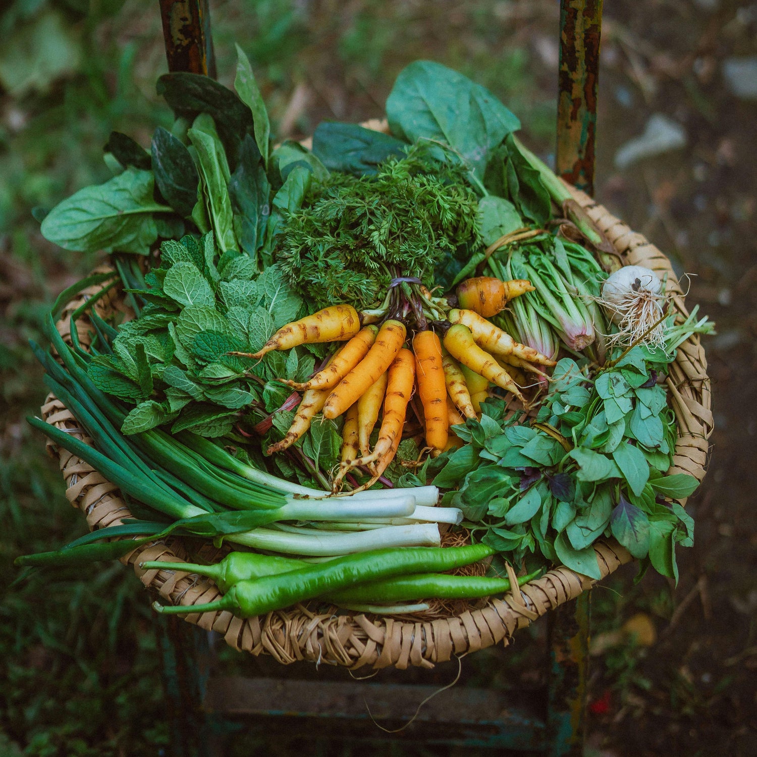 🕒 Why 24 Hours Matter: The Shelf Life of Freshness