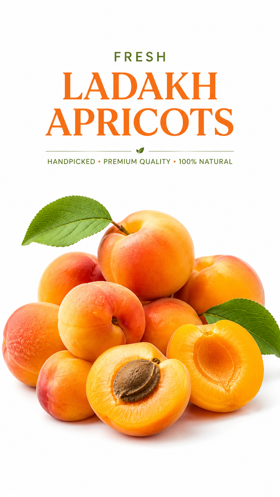 FRESH LADAKH APRICOTS