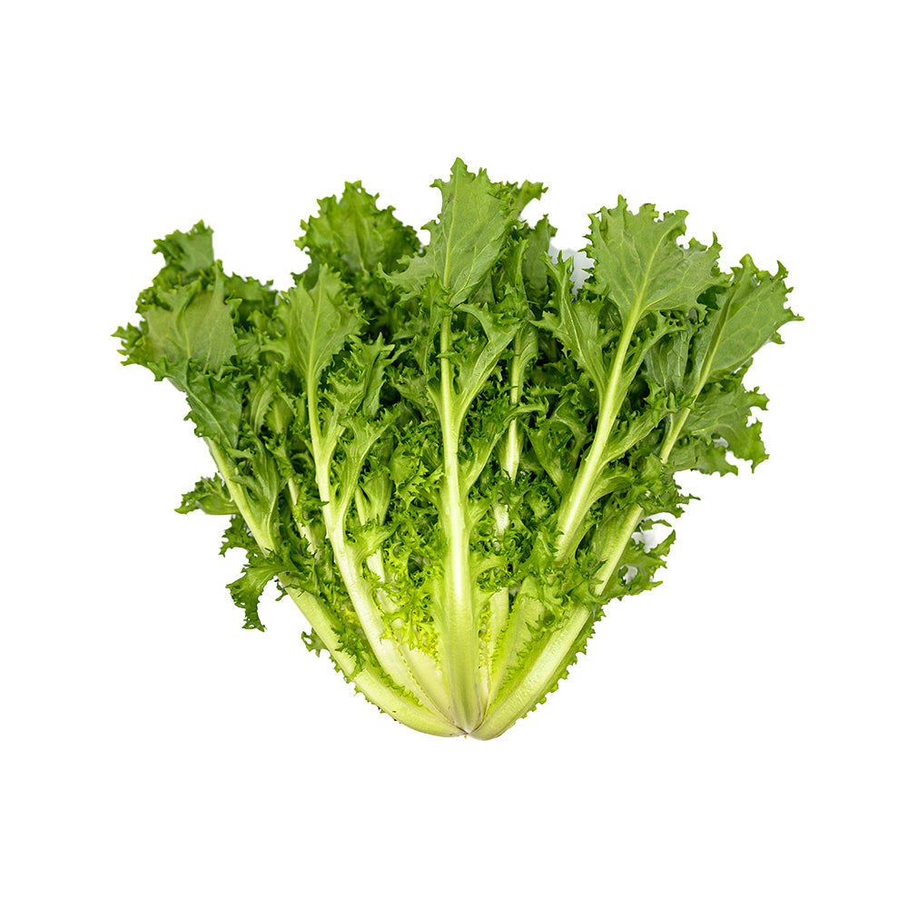 Endive