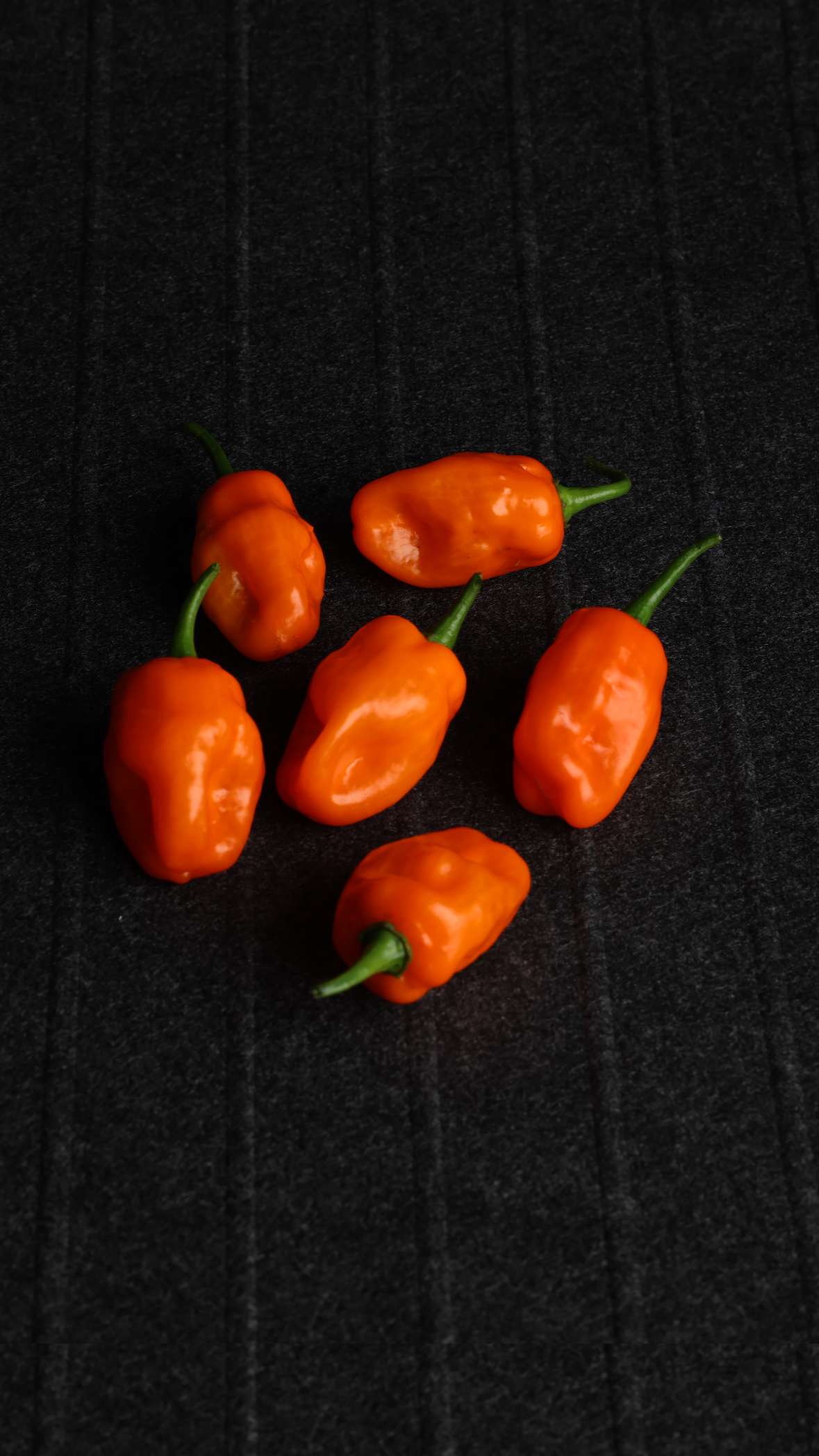 Habanero Peppers- Orange