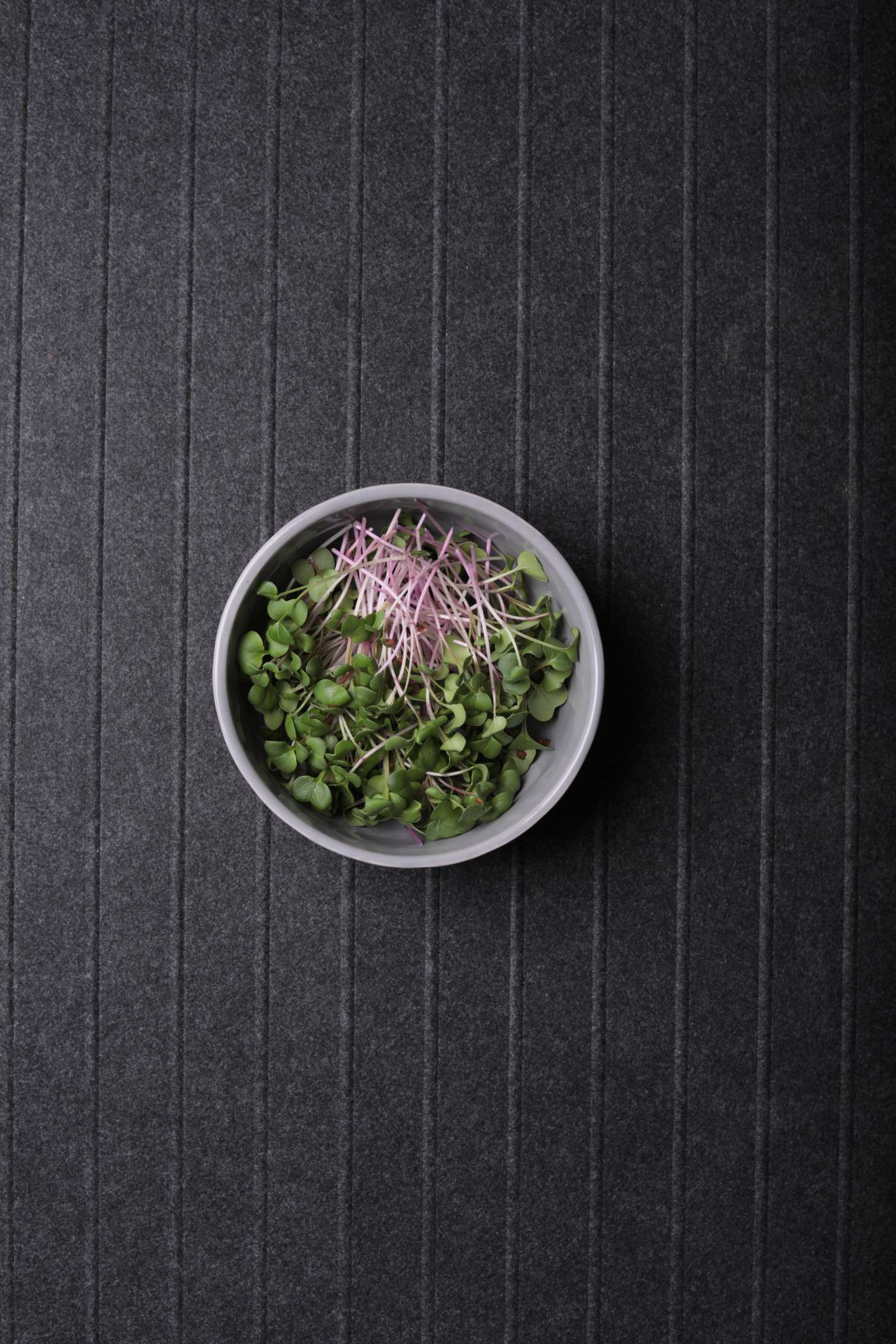 Radish Microgreens