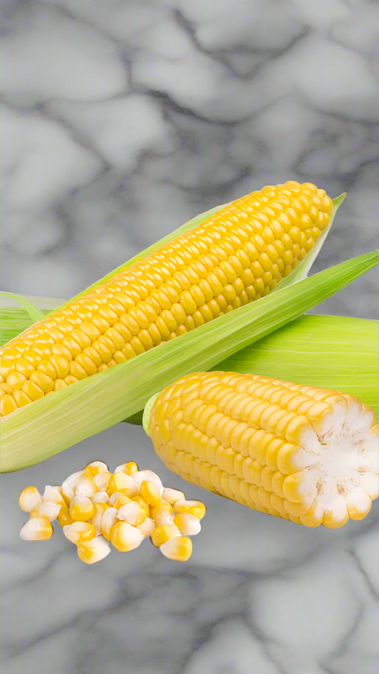 Organic Sweet Corn