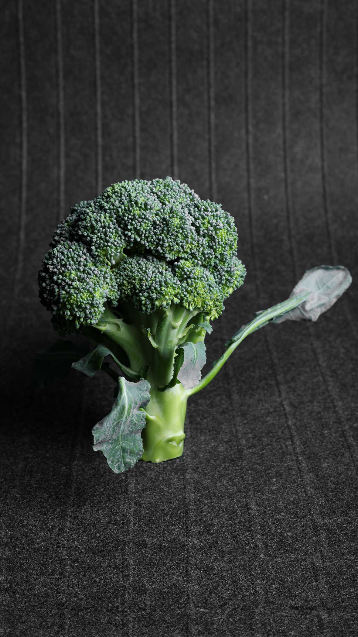 Broccoli