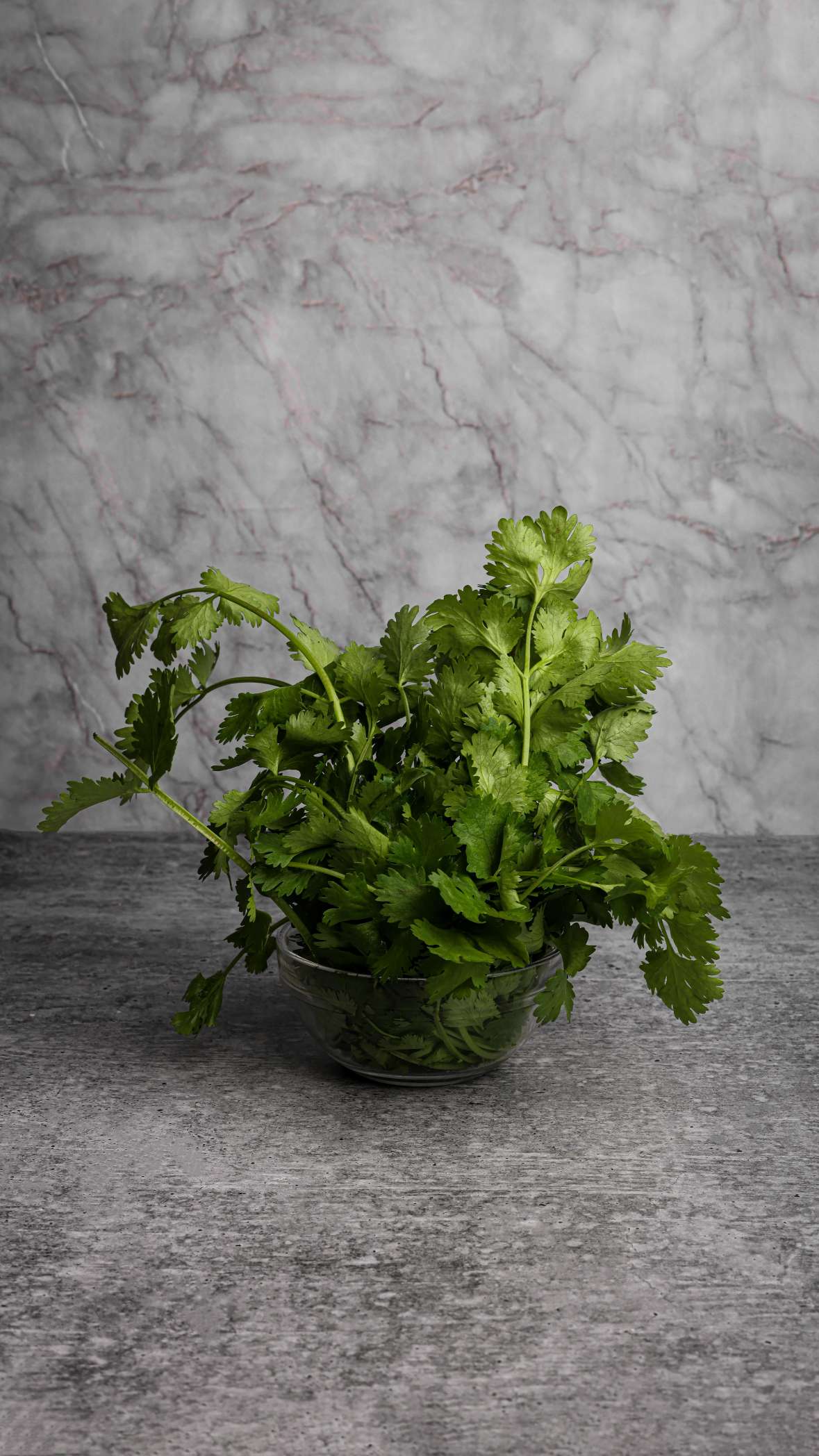 Organic Coriander (Dhaniya)