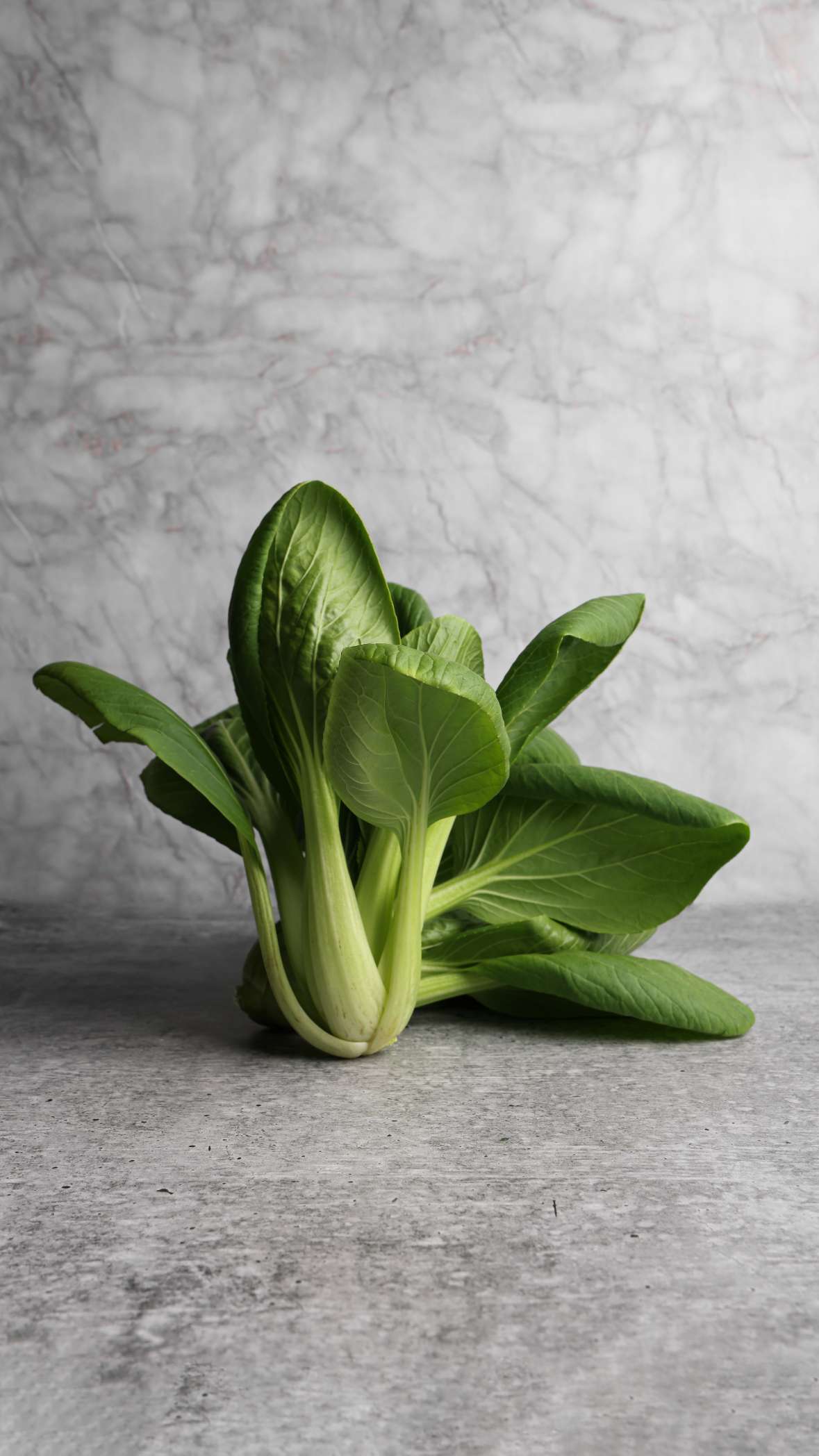 Green Pak Choi