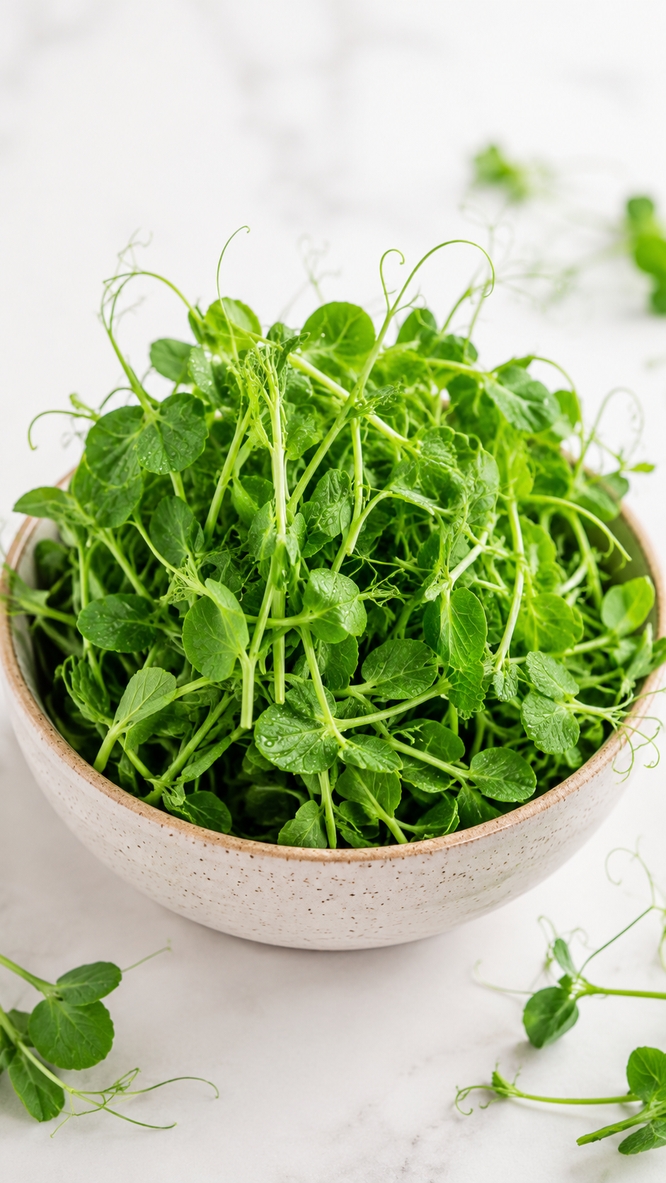 Peashoot Microgreens