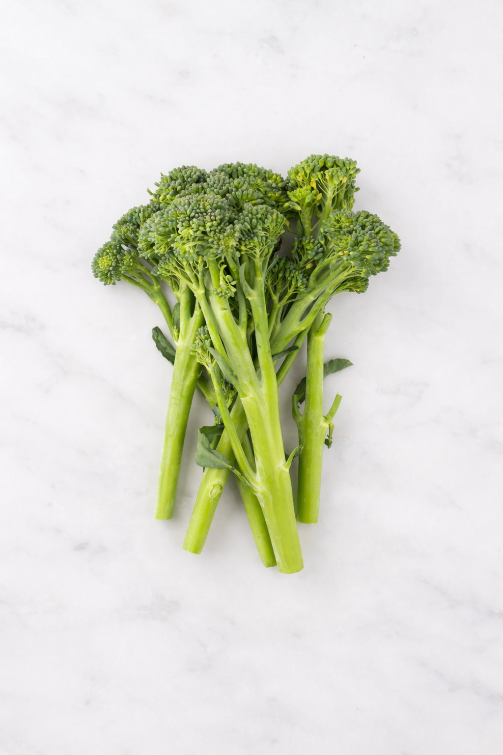 Broccolini